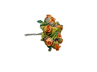 Citrus Charm Rosebuds