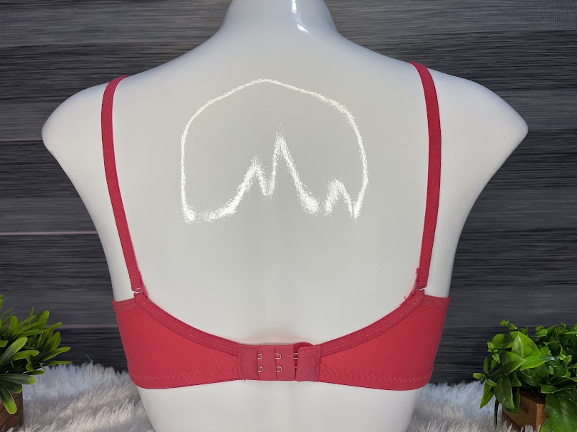 6 Plain Thin padded bra combo