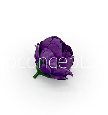 Purple & Violet Shaded Peonies