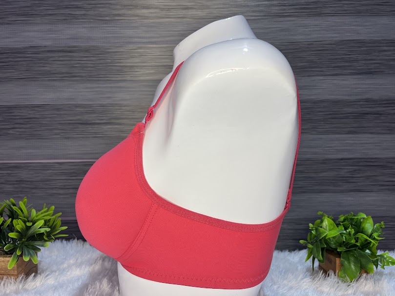 6 Plain Thin padded bra combo