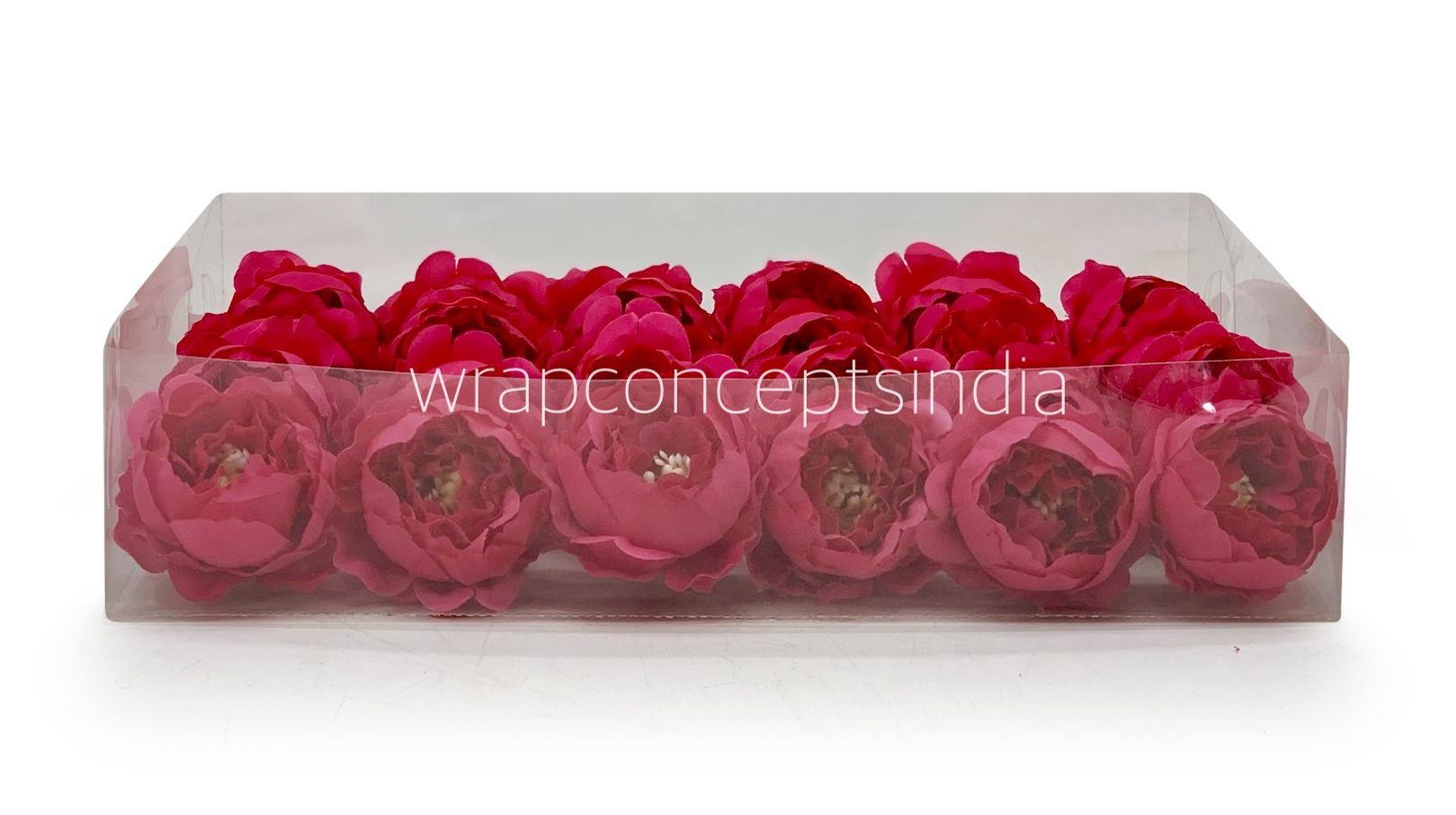 Fuchsia Pink Peonies