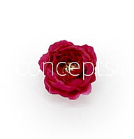 Fuchsia Pink Peonies