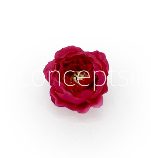 Fuchsia Pink Peonies