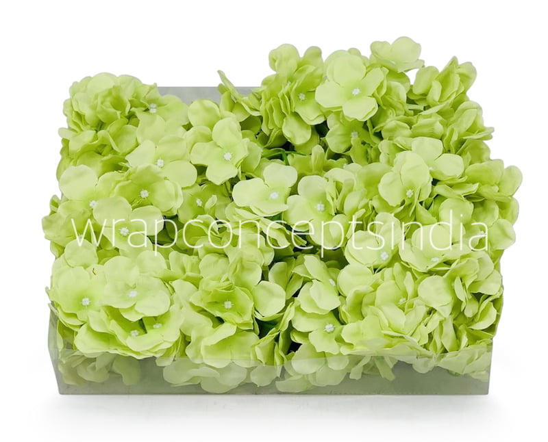 Lime Hydrangeas