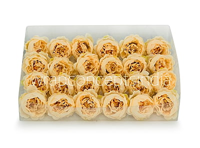 Cream Yellow Peonies