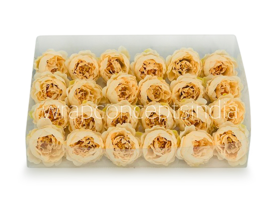 Cream Yellow Peonies