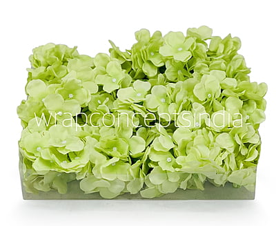 Lime Hydrangeas