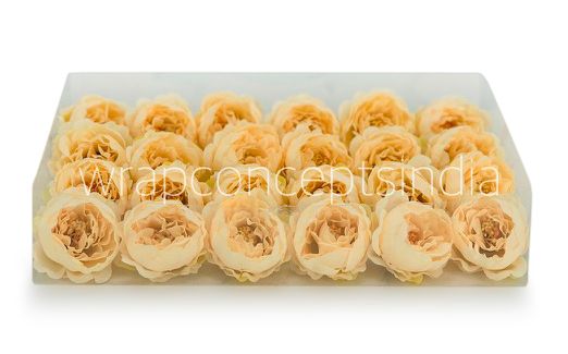 Cream Yellow Peonies