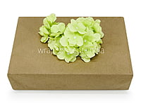 Lime Hydrangeas