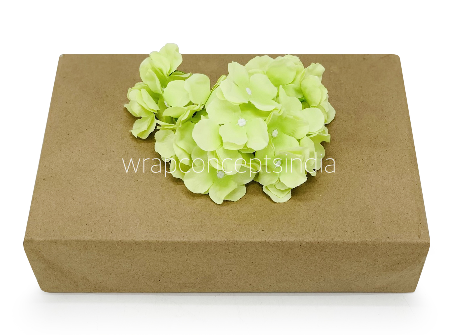 Lime Hydrangeas