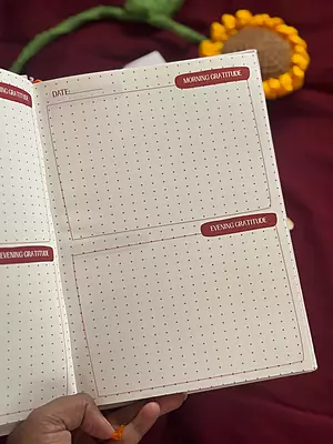 testReset & Reflect Edition (4-Month Guided Journal) Lady pink