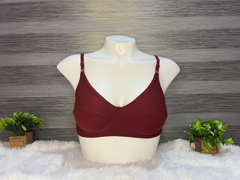 Saree Bra with Panty #Red