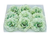 Tea Green Moutan Peony