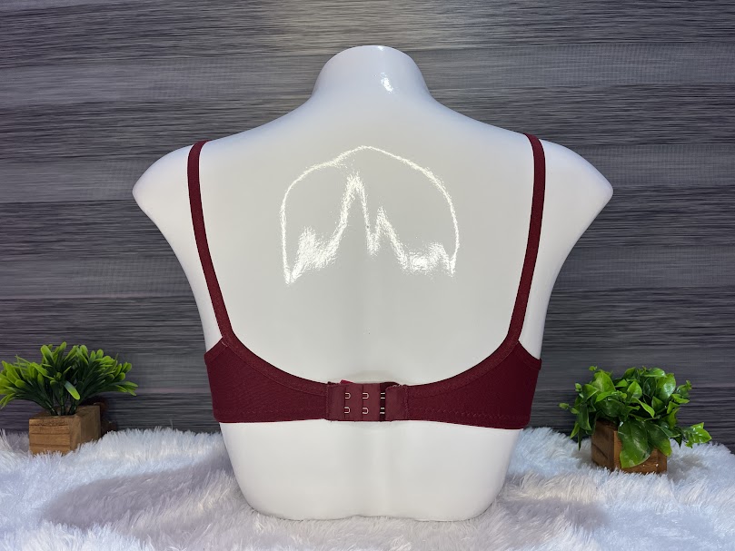 Saree Bra with Panty #mustard Yellow