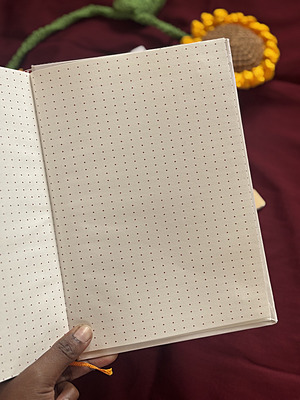 Reset & Reflect Edition (4-Month Guided Journal) JD1