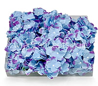 Maya Blue Hydrangeas
