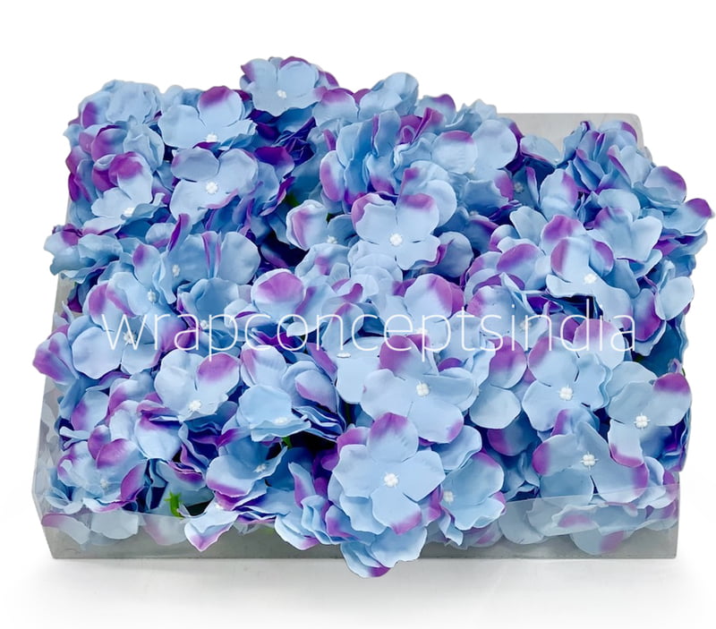 Maya Blue Hydrangeas