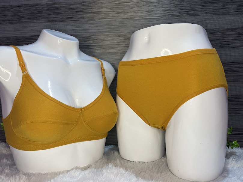 Saree Bra with Panty #mustard Yellow
