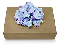Maya Blue Hydrangeas