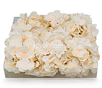 Butter Cream & Peach Hydrangeas