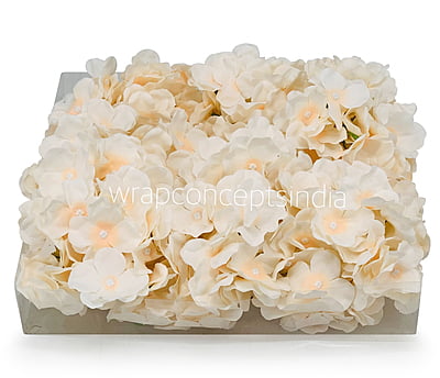 Butter Cream & Peach Hydrangeas