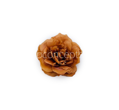 Cherry Wood Moutan Peony