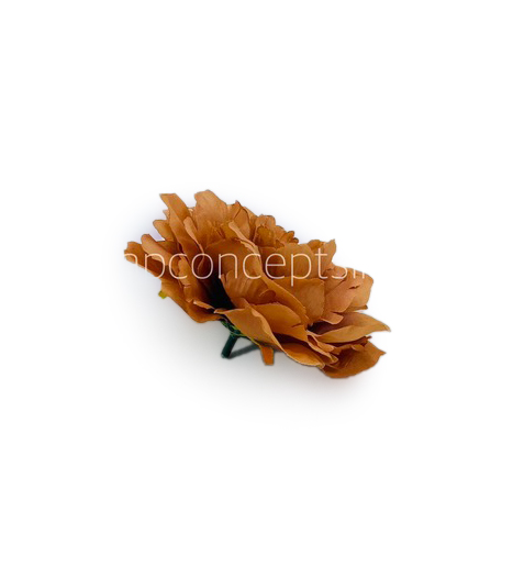Cherry Wood Moutan Peony