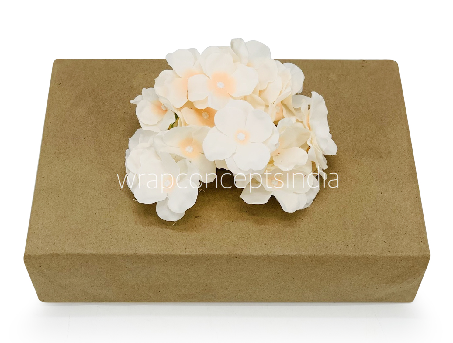 Butter Cream & Peach Hydrangeas
