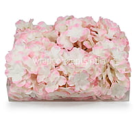 White with Pink Hydrangeas