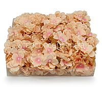 Peach with Pink Hydrangeas