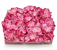 Pink Shaded Hydrangeas