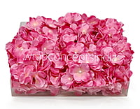 Pink Shaded Hydrangeas