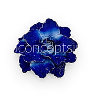 Indigo Blue with Glittered Petals