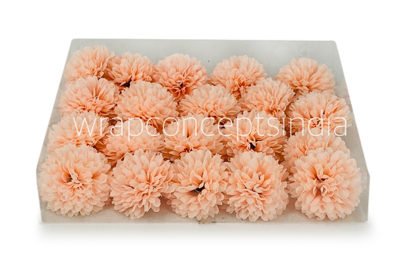Carnation - Peach