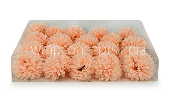 Carnation - Peach