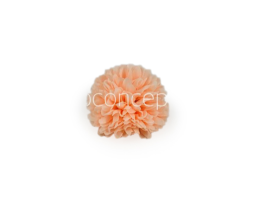 Carnation - Peach