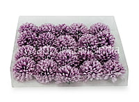 Carnation - Lavender