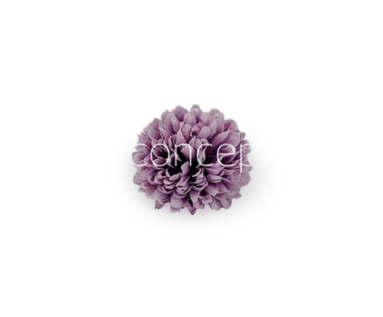Carnation - Lavender