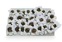 White Flowers with Glitter Pine