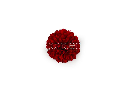 Carnation - Deep Red