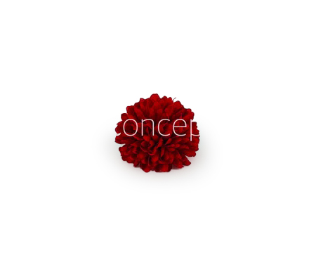 Carnation - Deep Red