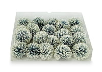 Carnation - Blue & White