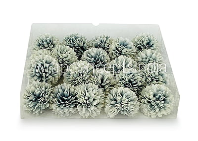 Carnation - Blue & White