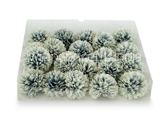 Carnation - Blue & White