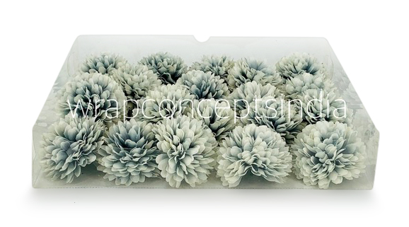 Carnation - Blue & White