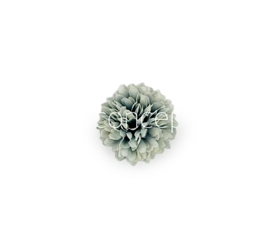 Carnation - Blue & White