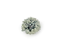 Carnation - Blue & White