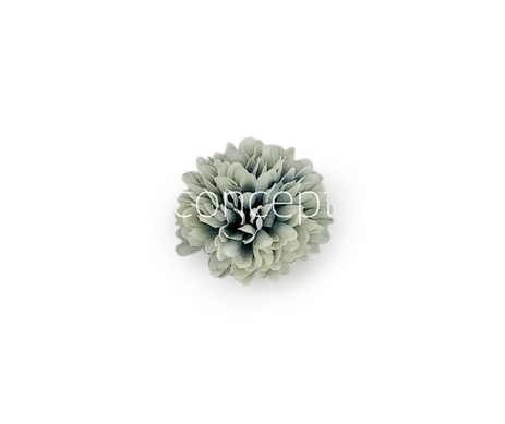 Carnation - Blue & White