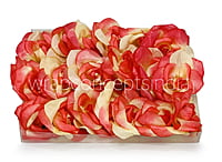 Coral & Lemon Rose Flower