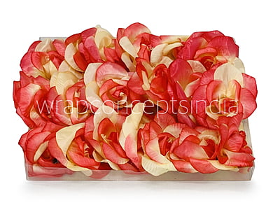 Coral & Lemon Rose Flower